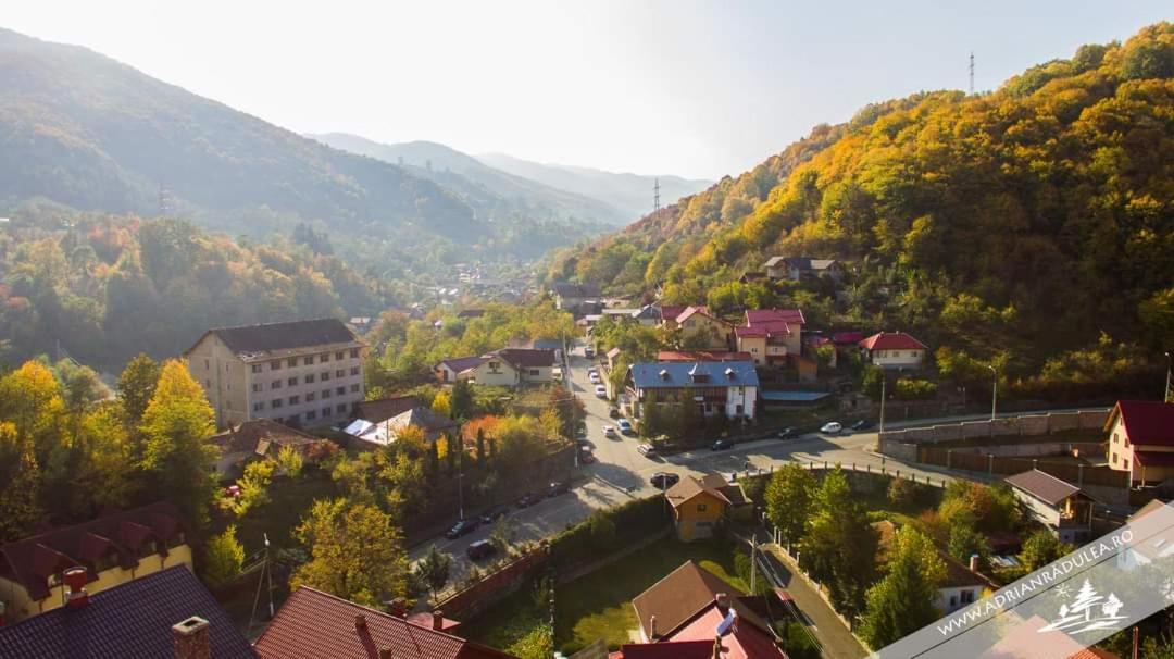 Cazare Apartament Cu 2 Camere Нехою Екстер'єр фото